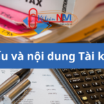 Hạch toán tài khoản 356 theo thông tư 133 |Kế toán Navi