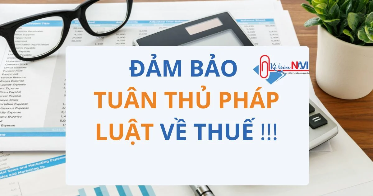 Kế toán trọn gói khi mở rộng thị trường | Kế toán navi