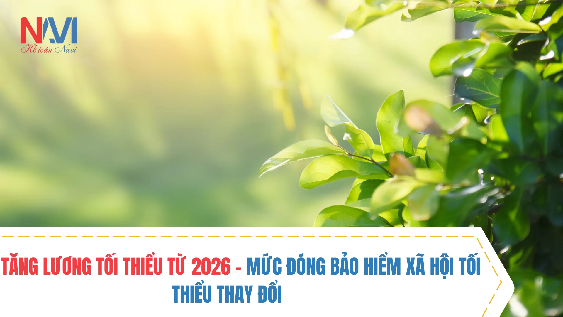 Mức thuế suất GTGT và TNCN theo ngành nghề