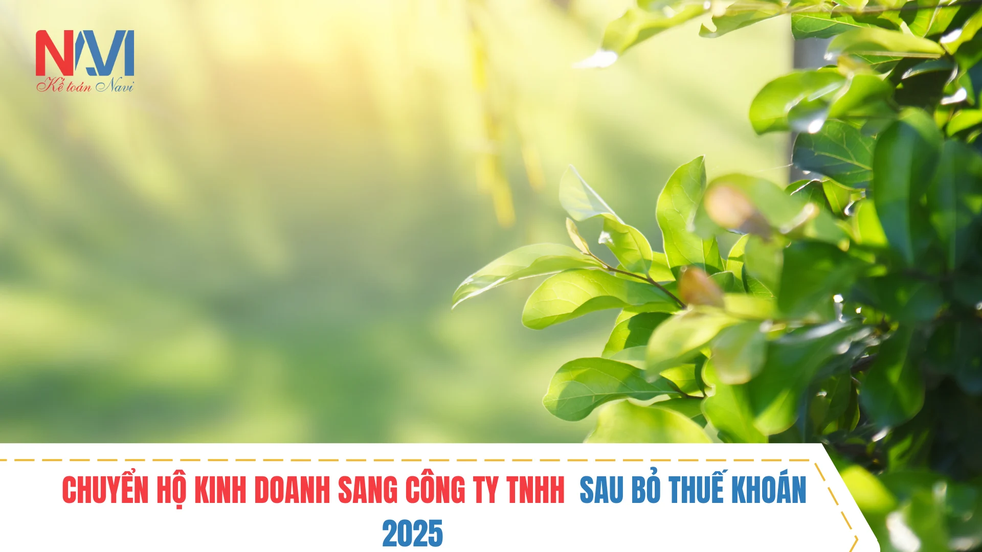 Mức thuế suất áp dụng với hộ kinh doanh cá thể