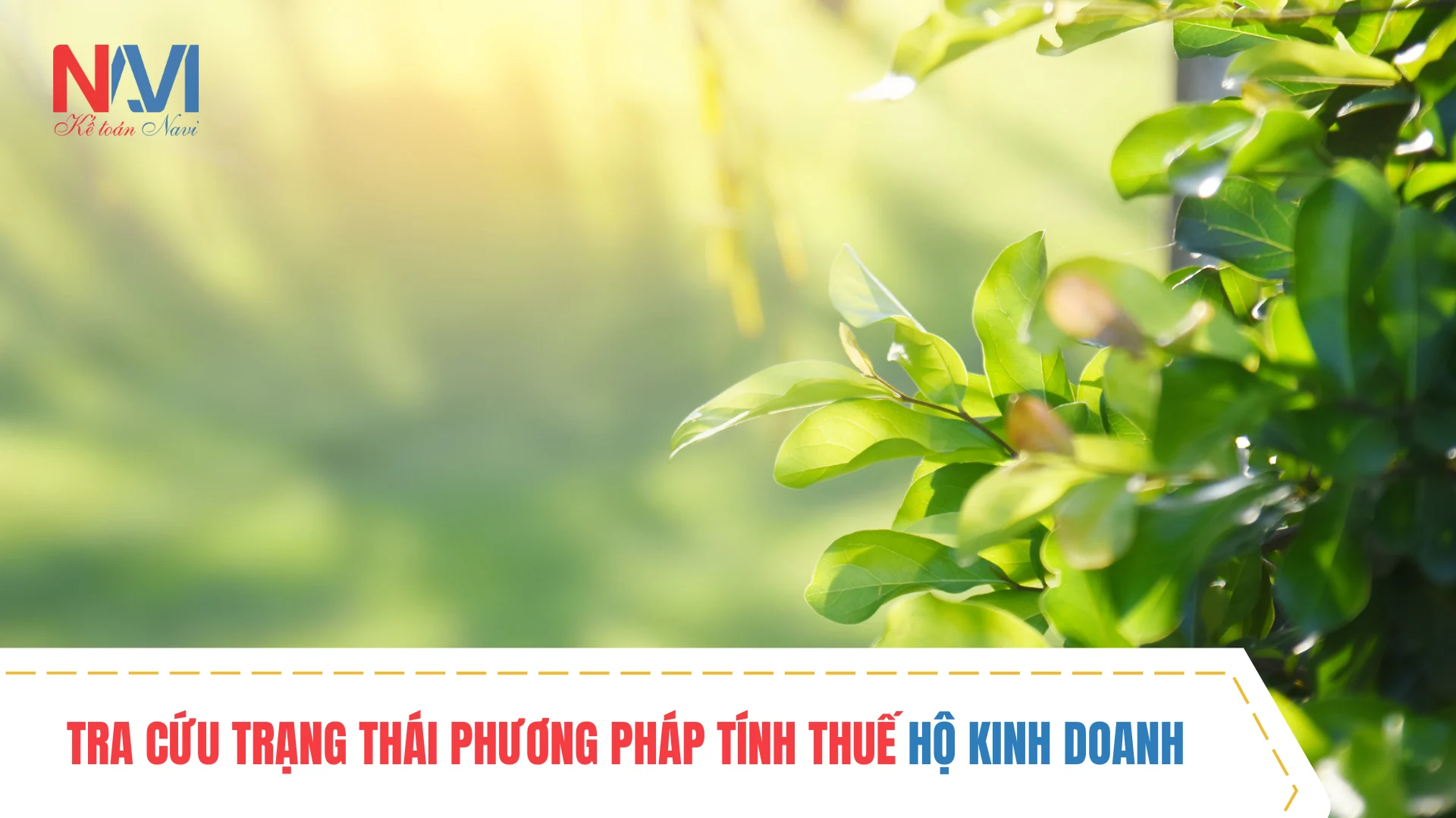 Số định danh cá nhân thay MST 888 sẽ thế nào