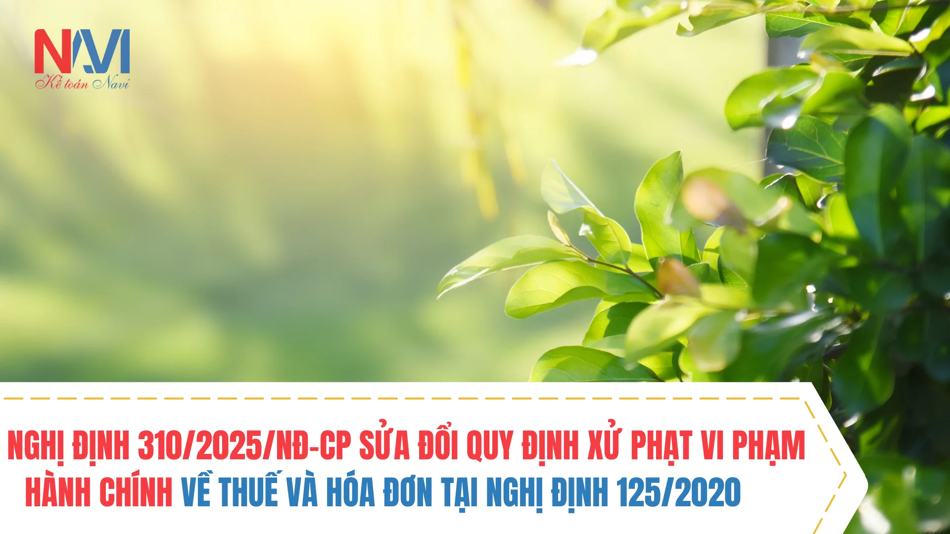 Hồ sơ khai thuế TNCN