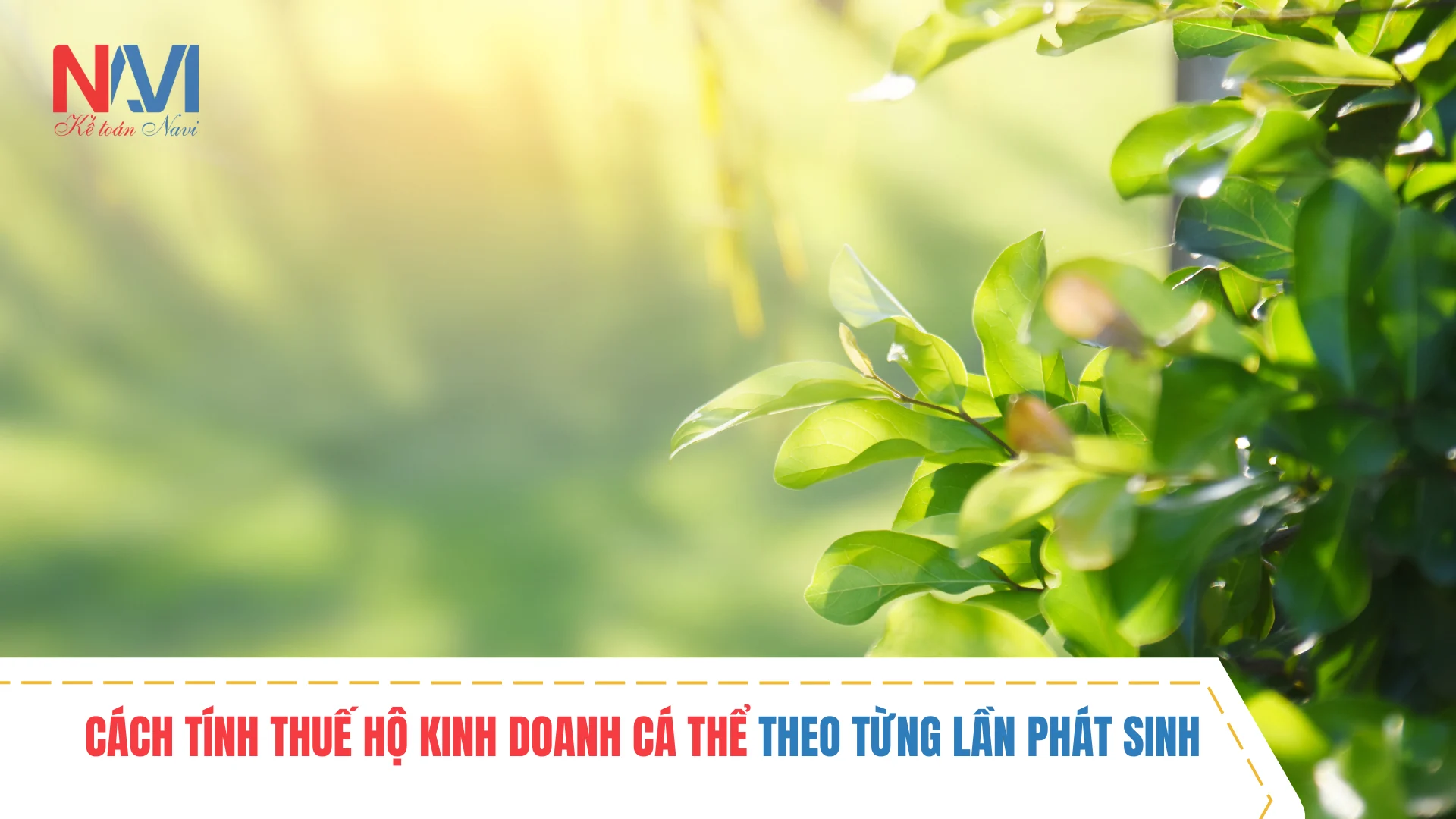 Đăng Ký Kinh Doanh Mỹ Phẩm Handmade