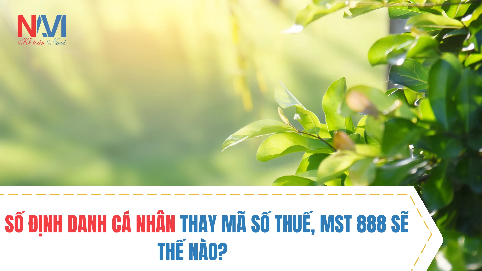 Nghị định 310 sửa đổi quy định về thuế và hóa đơn