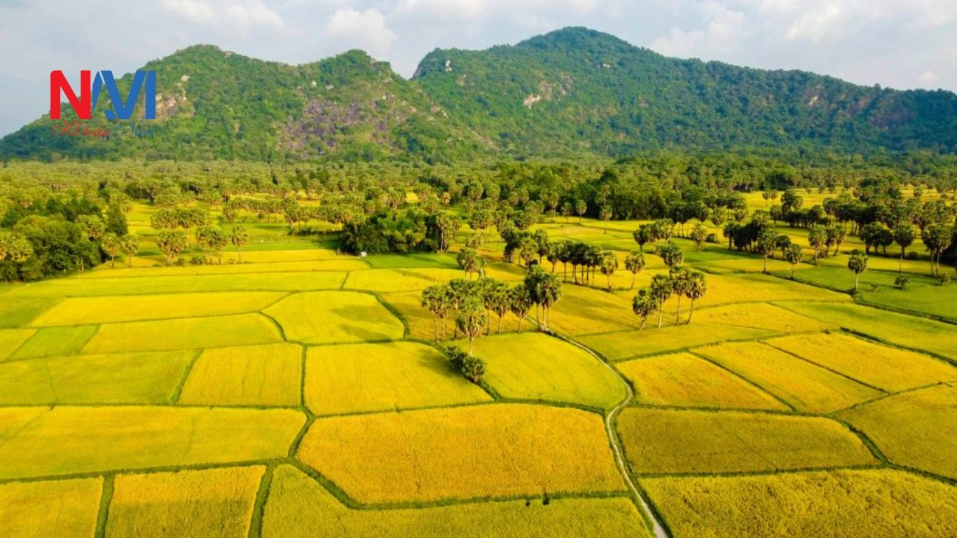 Dịch vụ kế toán trọn gói tại An Giang