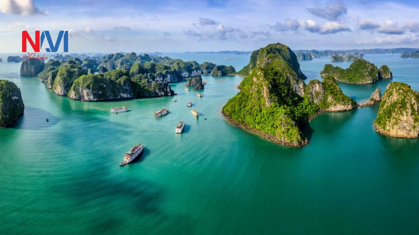 Dịch vụ kế toán trọn gói tại Quảng Ninh