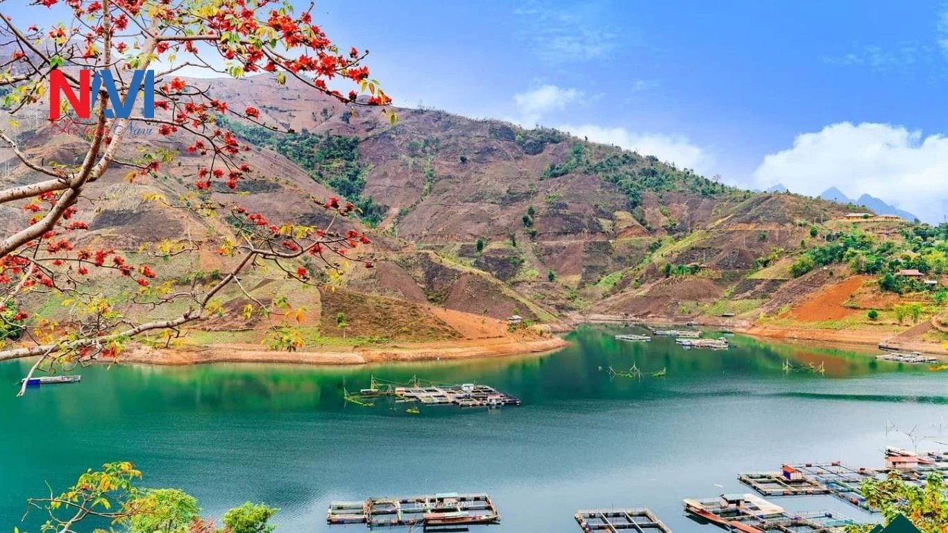 Dịch vụ kế toán trọn gói tại Sơn La