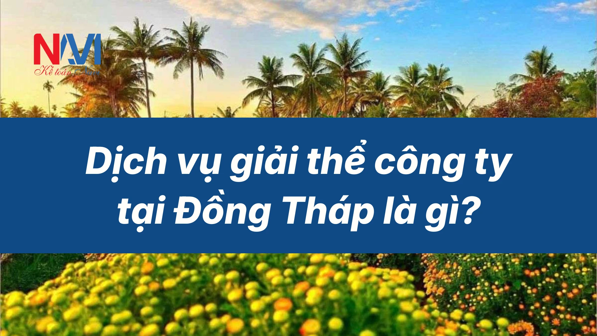 Dịch vụ giải thể công ty tại Đồng Tháp là gì
