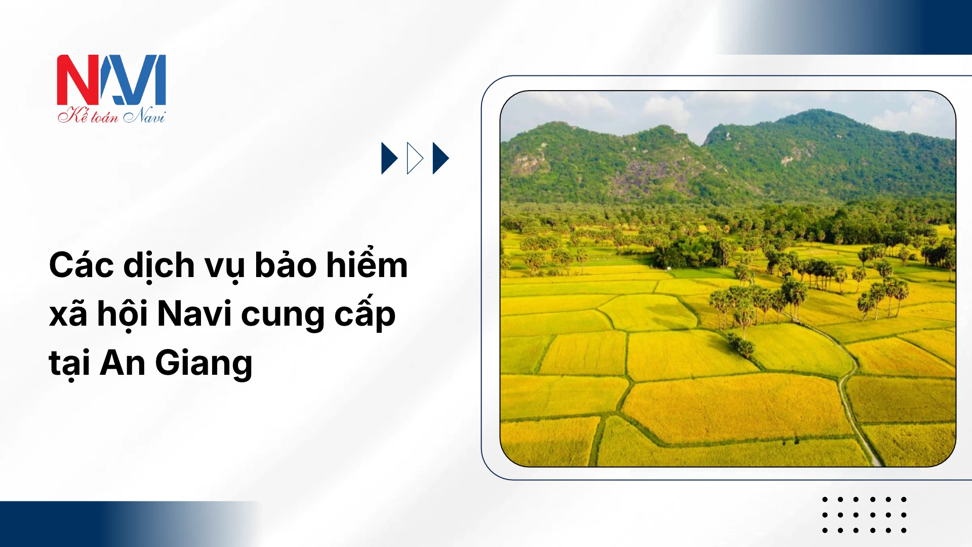 Các dịch vụ bảo hiểm xã hội Navi cung cấp tại An Giang