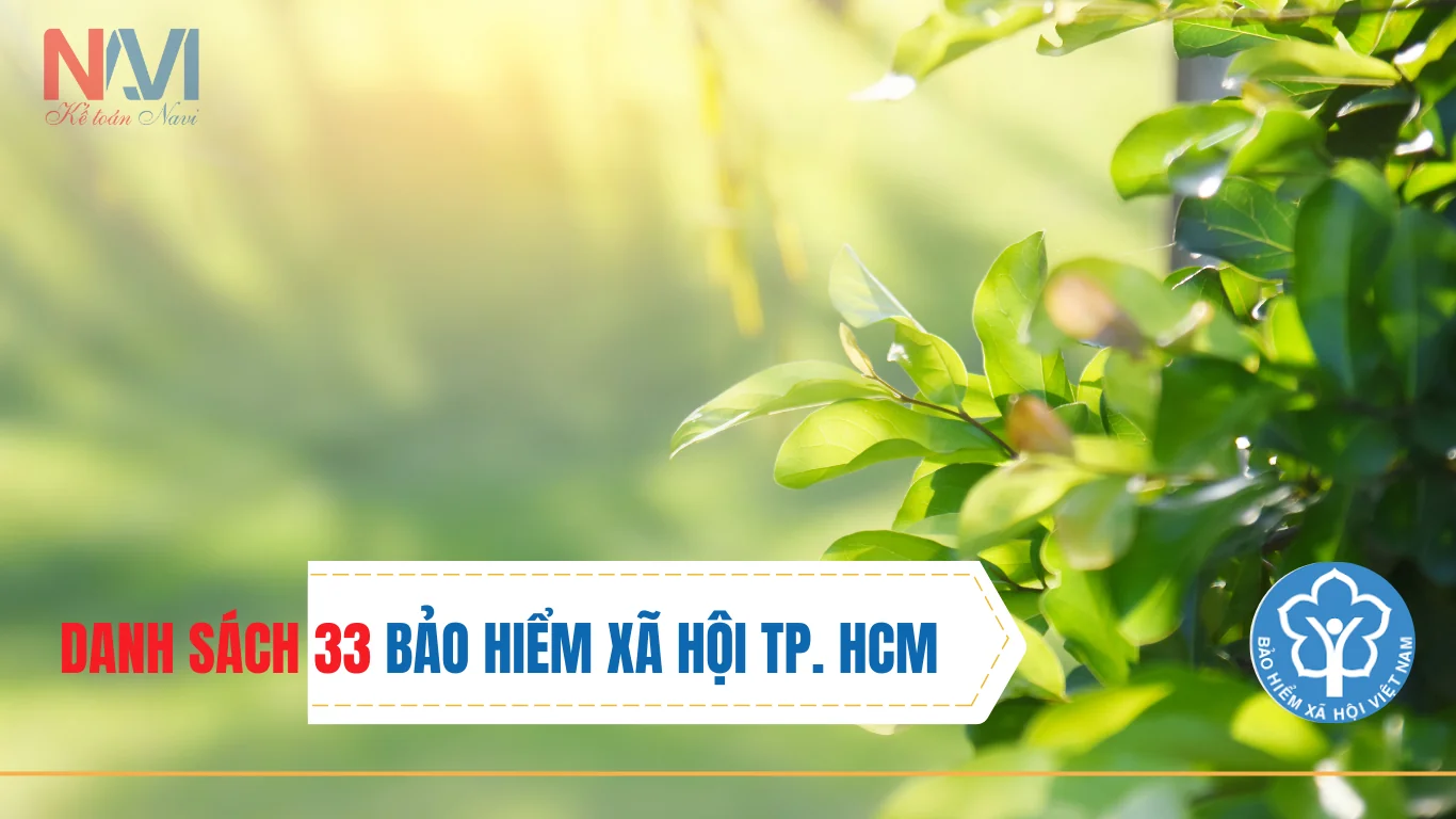 Danh sách 33 Bảo hiểm Xã hội cơ sở thuộc Bảo hiểm Xã hội TP Hồ Chí Minh kể từ 01/10/2025