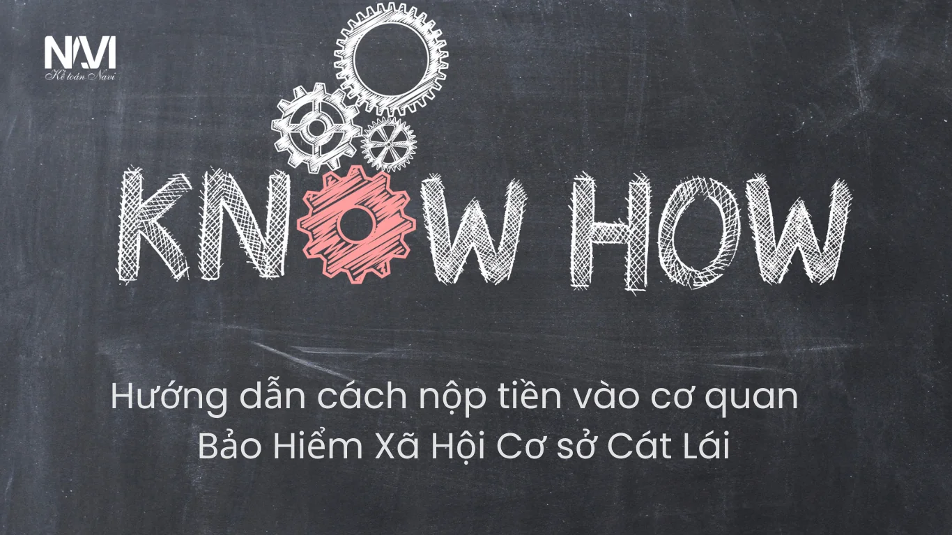 Hướng dẫn cách nộp tiền vào cơ quan BHXH Cơ sở Cát Lái