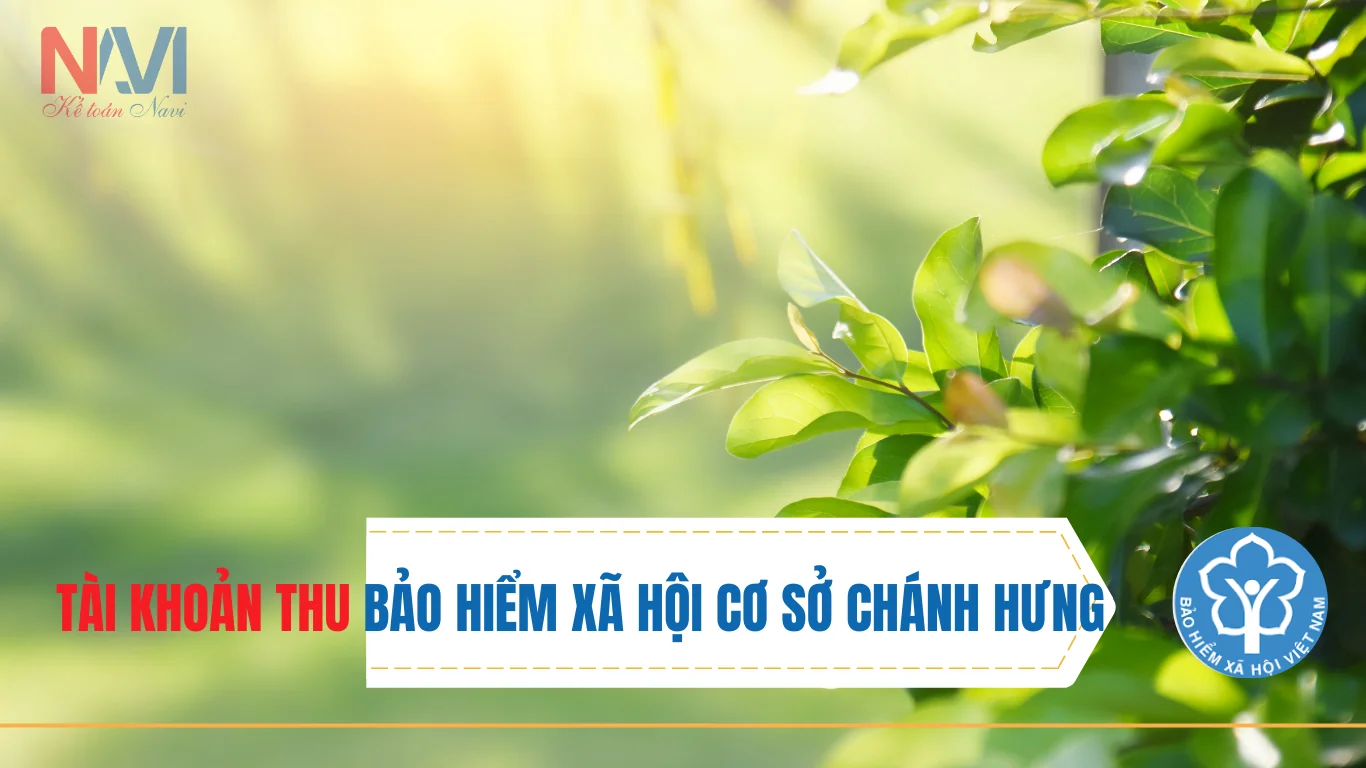 Tài khoản thu Bảo hiểm xã hội cơ sở Chánh Hưng